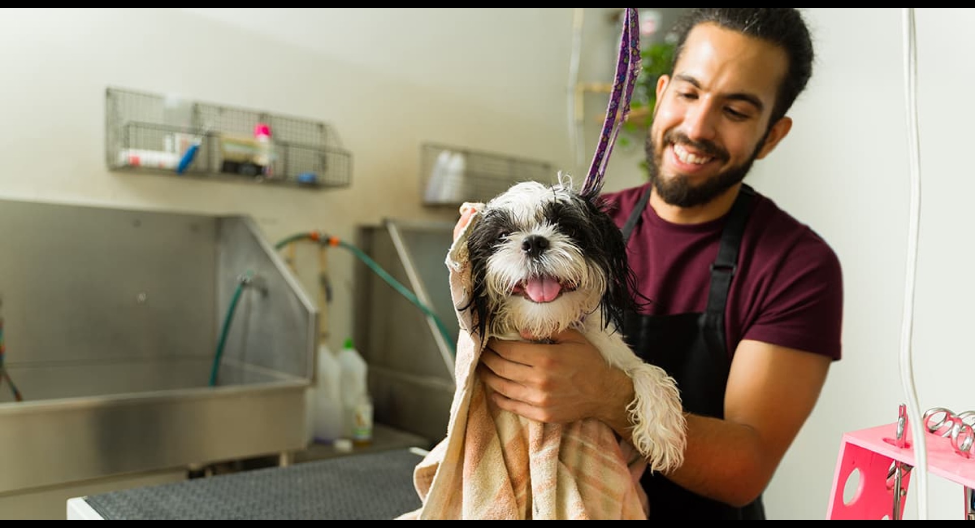 What Insurance Do Kelowna Pet Groomers Need?